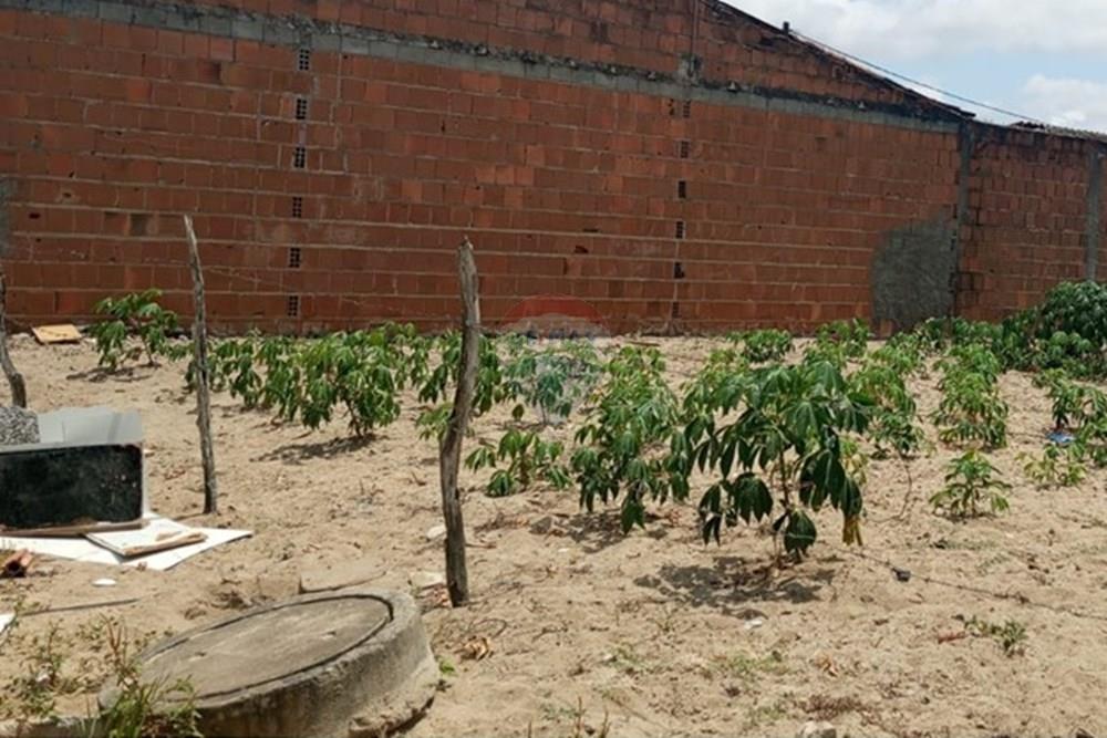 Terreno - Venda - Lajedo , Pernambuco - WhatsApp Image 2025-11-23 at 12.54.15 PM (5).jpeg - 850131012-48