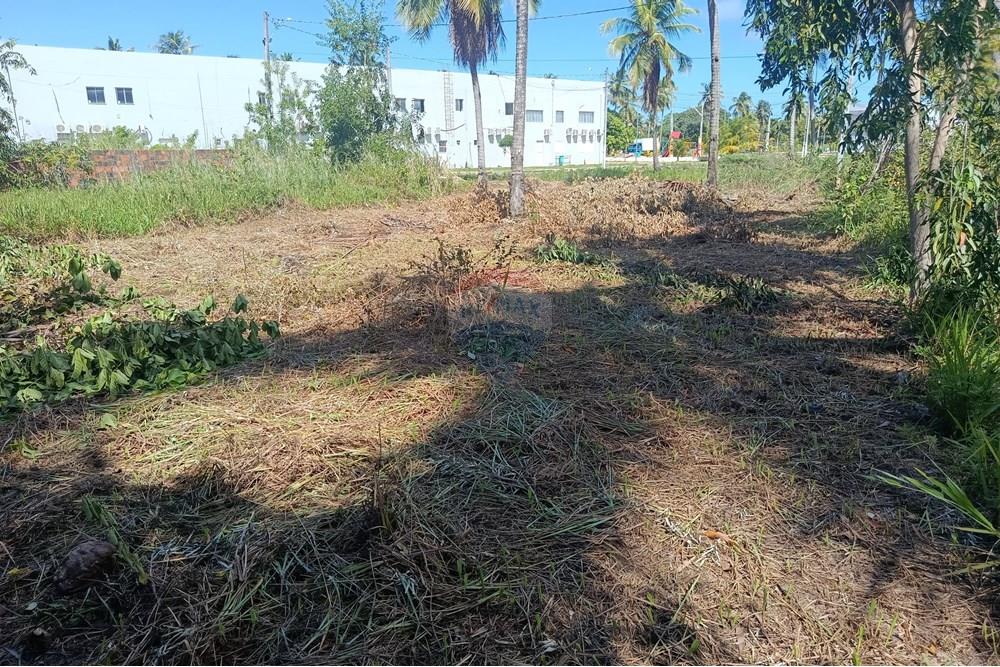 Terreno - Venda - Maragogi , Alagoas - IMG_20250531_123518.jpg - 850291008-73