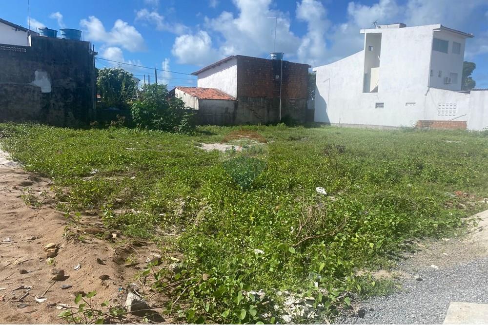 Terreno - Venda - Ipojuca , Pernambuco - WhatsApp Image 2025-06-02 at 15.26.57.jpeg - 850221030-36