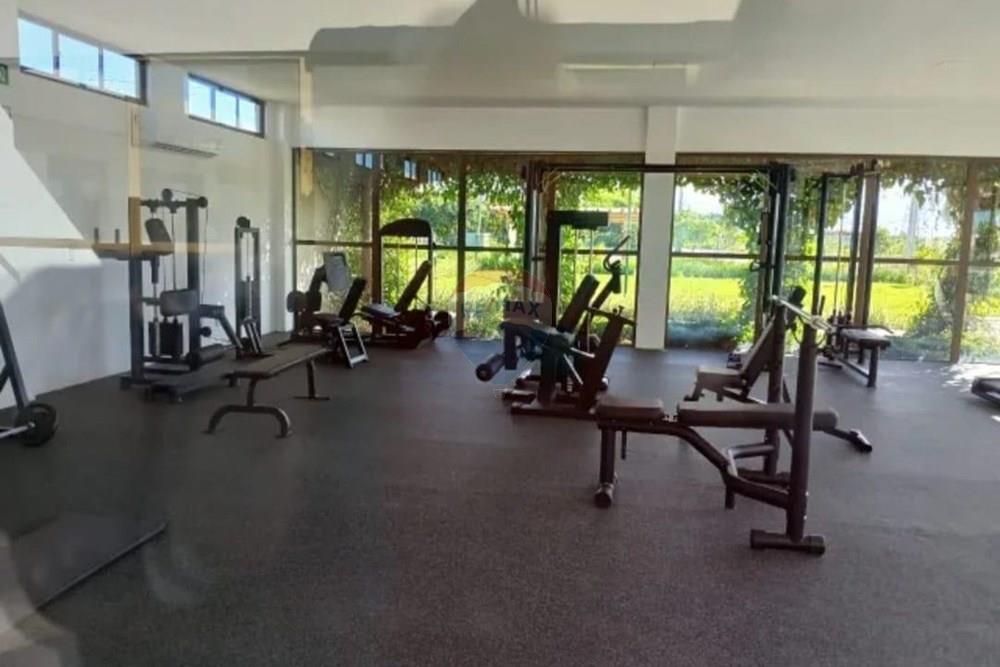 Terreno - Venda - Camaragibe , Pernambuco - WhatsApp Image 2026-01-29 at 16.38.30.jpeg - 850251132-1