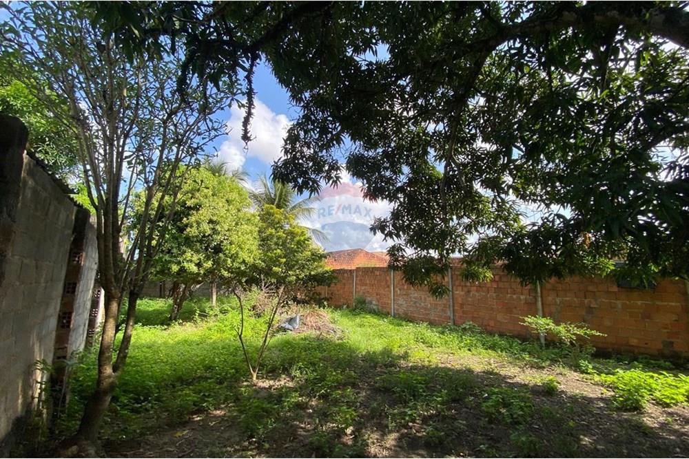 Terreno - Venda - Maceió , Alagoas - WhatsApp Image 2025-09-19 at 4.40.41 PM.jpeg - 850271154-83