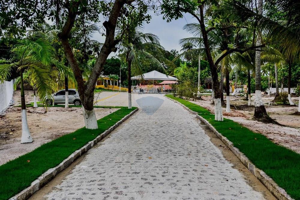 Chácara / Sítio / Fazenda - Venda - Tamandaré , Pernambuco - WhatsApp_Image_2026-02-12_at_06.39.45[1].jpeg - 850221048-18