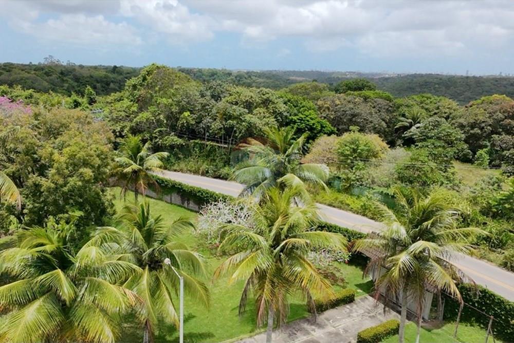 Chácara / Sítio / Fazenda - Venda - Recife , Pernambuco - WhatsApp Image 2025-10-09 at 14.34.26.jpeg - 850071019-216