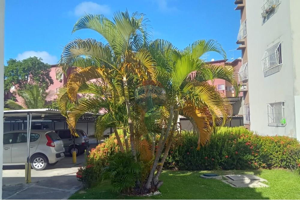 Apartamento - Venda - Jaboatão dos Guararapes , Pernambuco - 8e8573f2-10ca-4d80-a9fc-b225b98eb2a4.jpg - 850601008-34