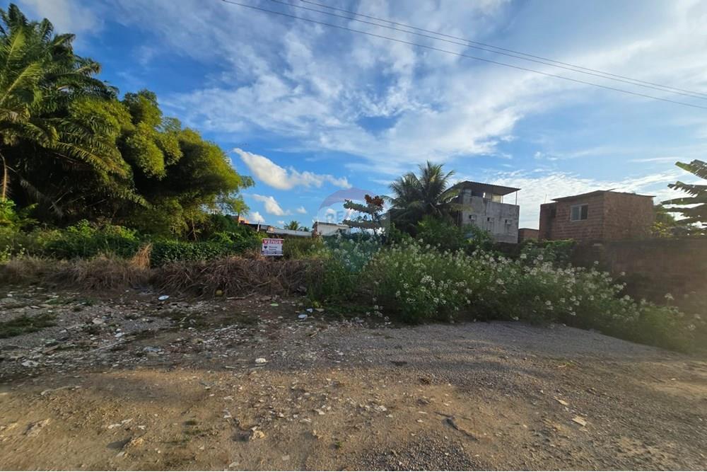 Terreno - Venda - Cabo de Santo Agostinho , Pernambuco - WhatsApp Image 2025-01-21 at 12.06.21 (3).jpeg - 850281036-44