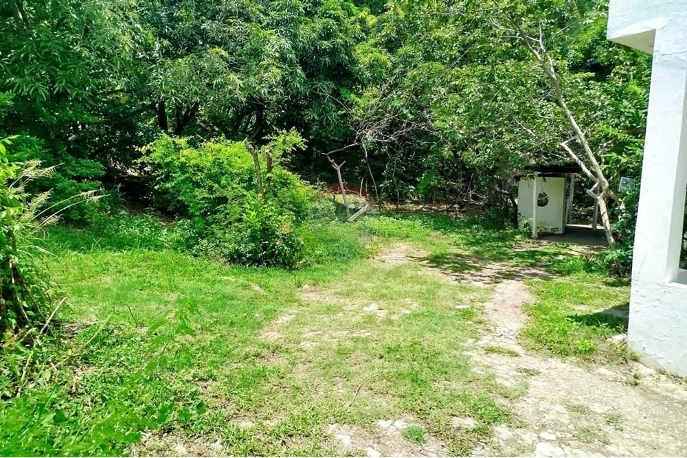 Terreno - Venda - Paulista , Pernambuco - WhatsApp Image 2025-03-16 at 14.59.13.jpeg - 850721002-141