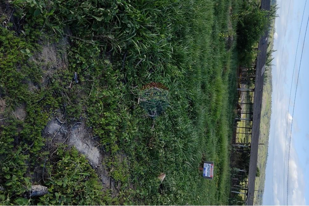 Terreno - Venda - Bonito , Pernambuco - WhatsApp Image 2025-03-10 at 08.43.29 (2).jpeg - 850051012-96