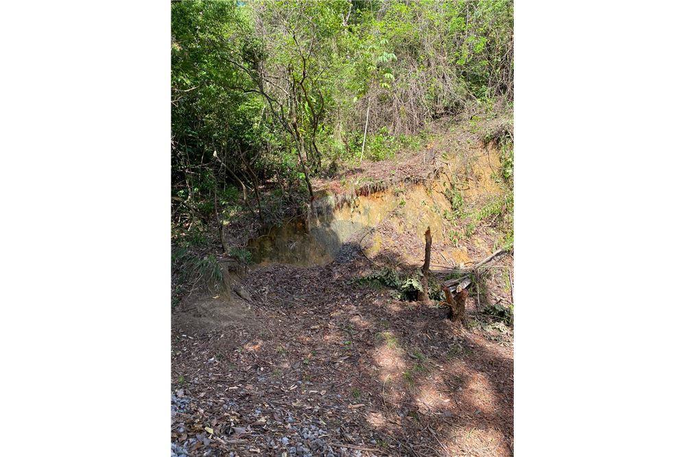 Terreno - Venda - Recife , Pernambuco - 14 - 850251016-617