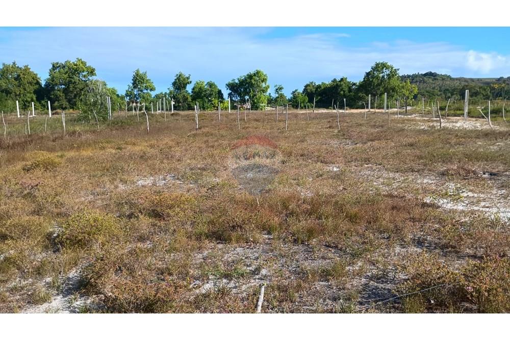 Terreno - Venda - Marechal Deodoro , Alagoas - WhatsApp Image 2026-02-04 at 16.23.52 (2).jpeg - 850271270-15