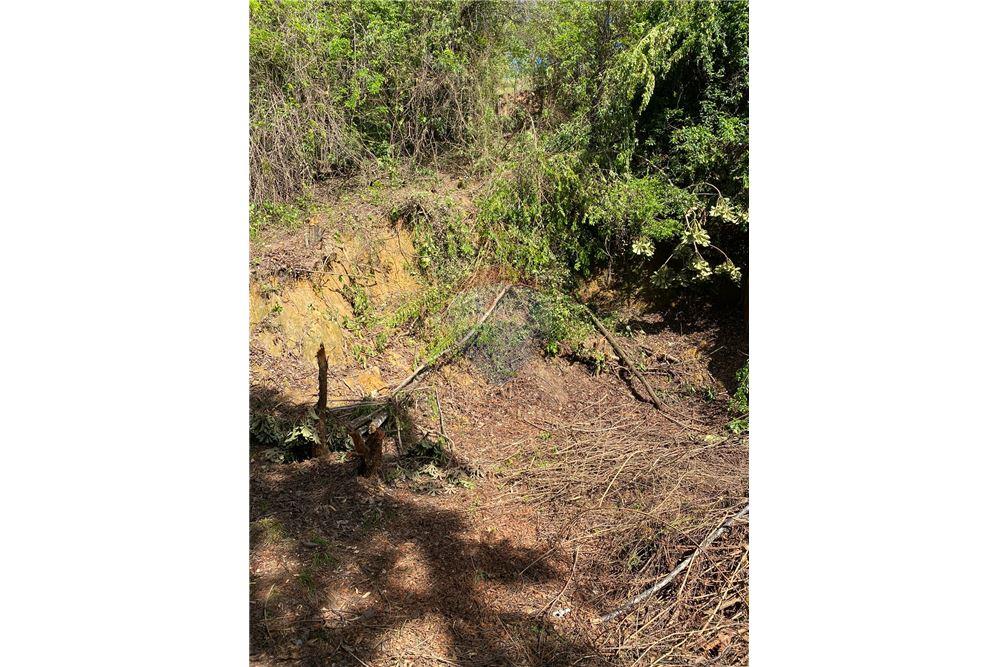 Terreno - Venda - Recife , Pernambuco - 15 - 850251016-617