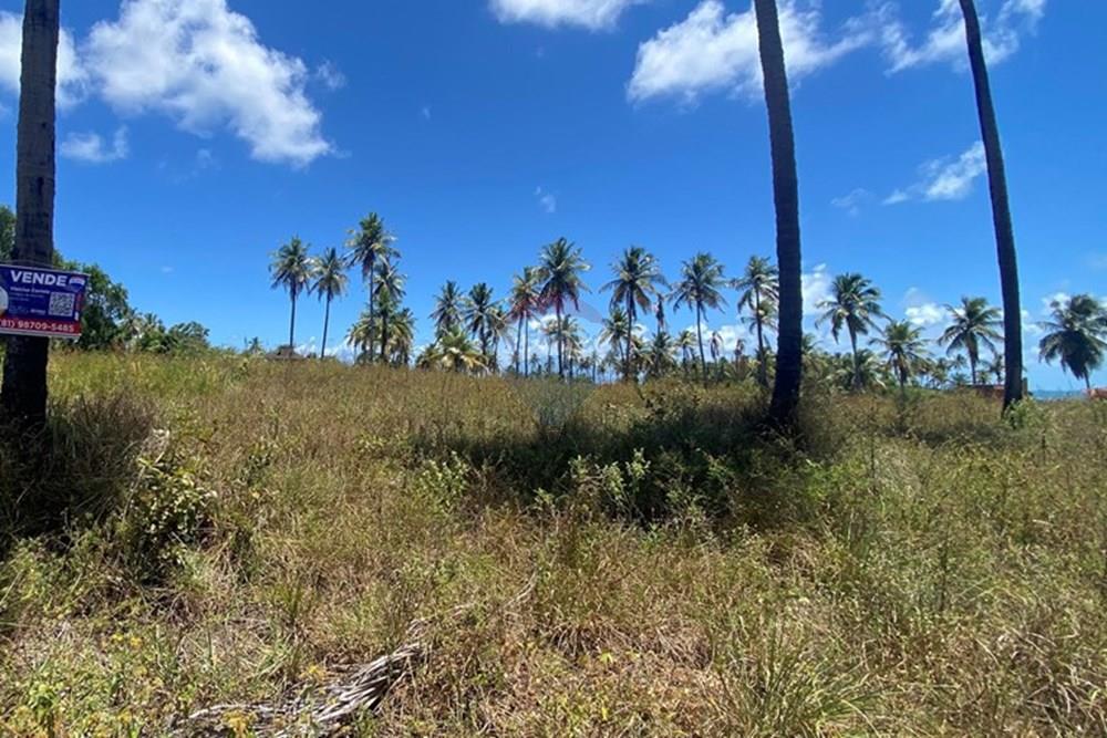 Terreno - Venda - Maragogi , Alagoas - IMG_1536.jpg - 850271264-8