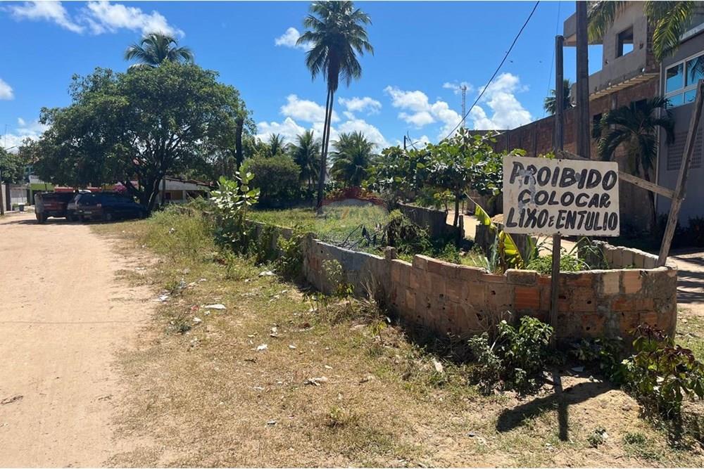 Terreno - Venda - Sirinhaém , Pernambuco - WhatsApp Image 2025-05-08 at 17.21.05.jpeg - 850721002-153