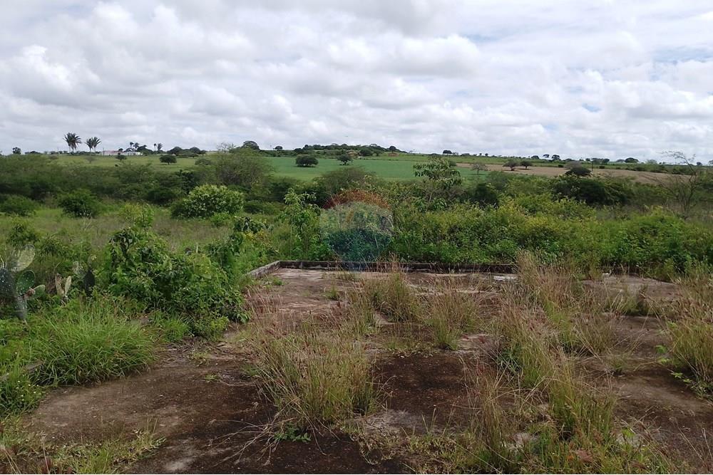 Chácara / Sítio / Fazenda - Venda - Lajedo , Pernambuco - IMG_20250616_110502.jpg - 850131018-51