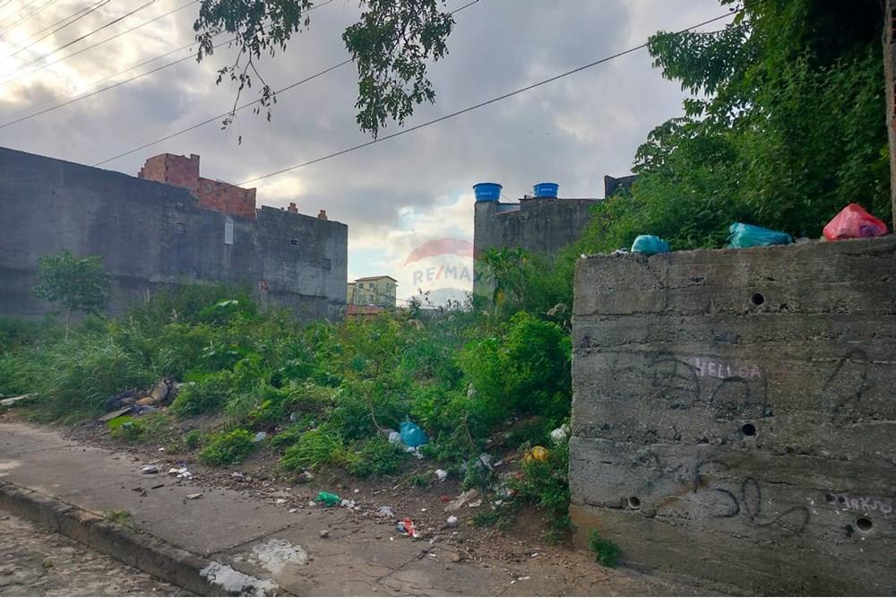 Terreno - Venda - Aracaju , Sergipe - WhatsApp Image 2025-11-25 at 10.29.22 (1).jpeg - 850581096-239