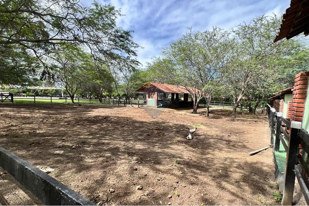 Casa - Venda - Gravatá , Pernambuco - Imagem do WhatsApp de 2025-07-28 à(s) 17.15.34_a2ceb1bb.jpg - 850301001-342