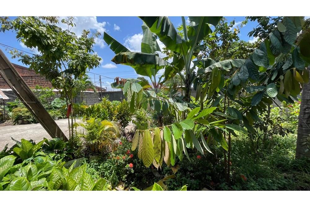 Chácara / Sítio / Fazenda - Venda - Maceió , Alagoas - 43051699-f06c-4d2b-a24c-1561822d053f.jpeg - 850271147-49