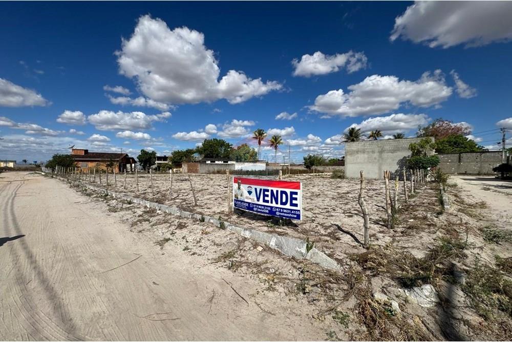 Terreno - Venda - Lajedo , Pernambuco - WhatsApp Image 2025-12-26 at 16.44.50 (15).jpeg - 850131003-525