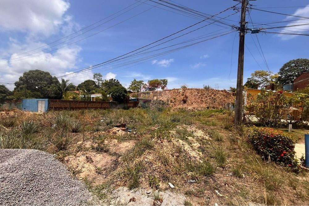 Terreno - Venda - Cabo de Santo Agostinho , Pernambuco - WhatsApp Image 2026-02-03 at 12.21.12.jpeg - 850281001-64