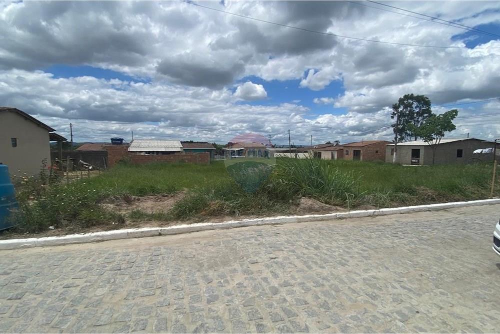 Terreno - Venda - Brejão , Pernambuco - Onça 8.jpeg - 850741009-3