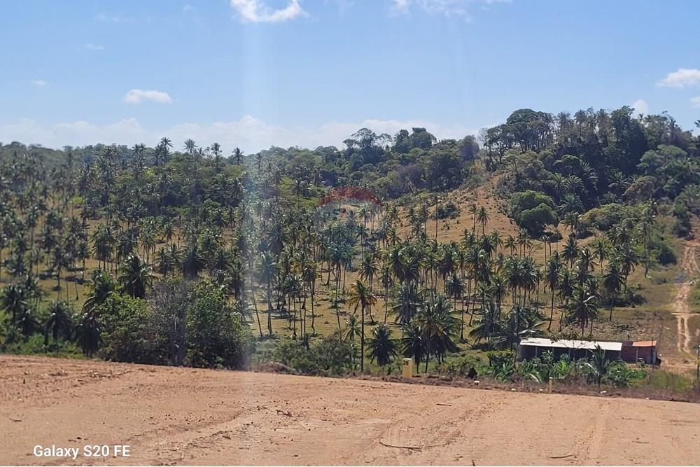Terreno - Venda - Maragogi , Alagoas - 20251118_133327.jpg - 850291026-18