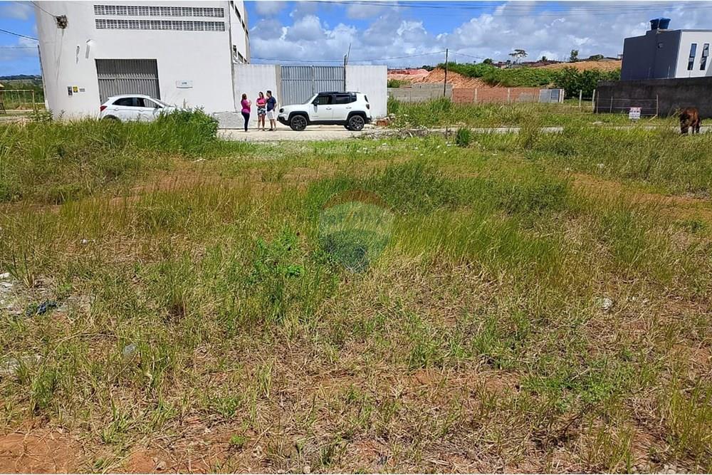 Terreno - Venda - Marechal Deodoro , Alagoas - WhatsApp Image 2025-09-09 at 17.37.50 (2).jpeg - 850271161-92