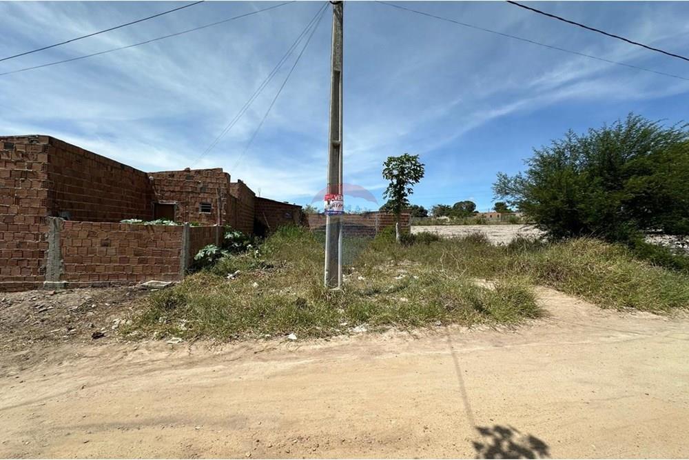 Terreno - Venda - Garanhuns , Pernambuco - WhatsApp Image 2025-05-13 at 21.24.52 (10).jpeg - 850131003-443