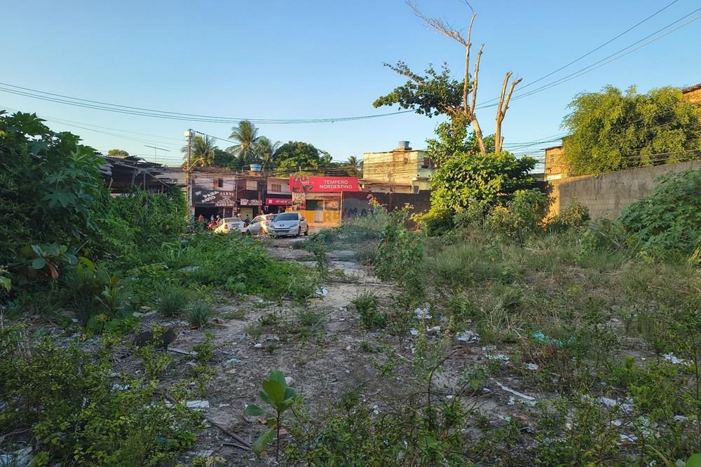 Terreno - Venda - Recife , Pernambuco - IMG_20260204_170826125_HDR_cleanup.jpg - 850191023-68