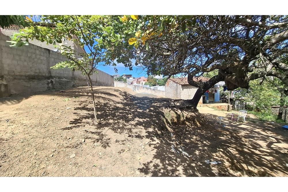 Terreno - Venda - Maceió , Alagoas - WhatsApp Image 2025-07-28 at 16.16.55 (2).jpeg - 850271246-1