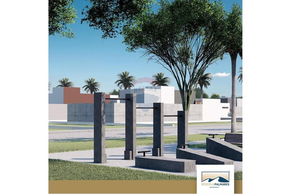 Terreno - Venda - União dos Palmares , Alagoas - Imagem do WhatsApp de 2025-11-26 à(s) 17.42.33_a0dcd96f.jpg - 850141085-24