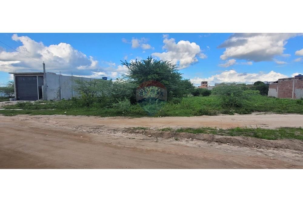 Terreno - Venda - Lajedo , Pernambuco - WhatsApp Image 2025-06-11 at 19.34.08.jpeg - 850741004-259