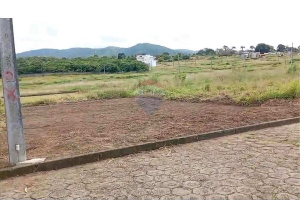 Terreno - Venda - Palmeira dos Índios , Alagoas - WhatsApp Image 2025-11-14 at 16.53.23 (1).jpeg - 850271243-9