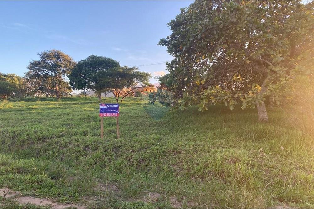 Terreno - Venda - Garanhuns , Pernambuco - WhatsApp Image 2026-03-27 at 15.40.54 (1).jpeg - 850741009-1