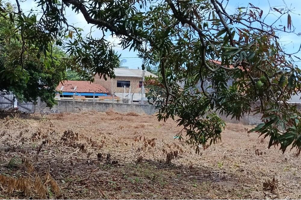 Terreno - Venda - Maceió , Alagoas - WhatsApp Image 2025-12-10 at 15.35.59 (2).jpeg - 850271159-435