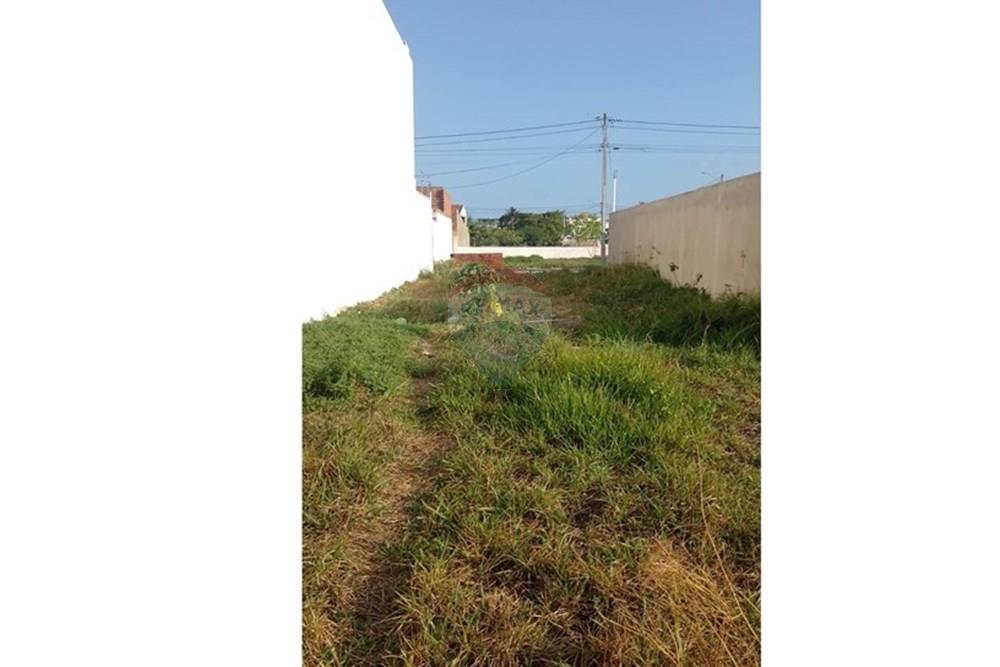 Terreno - Venda - Tamandaré , Pernambuco - WhatsApp Image 2026-01-13 at 15.04.18.jpeg - 850251097-19