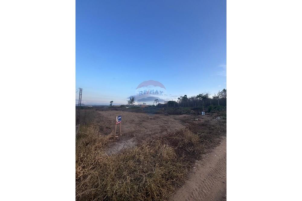 Terreno - Venda - Garanhuns , Pernambuco - WhatsApp Image 2026-01-14 at 13.56.59 (6).jpeg - 850131003-529