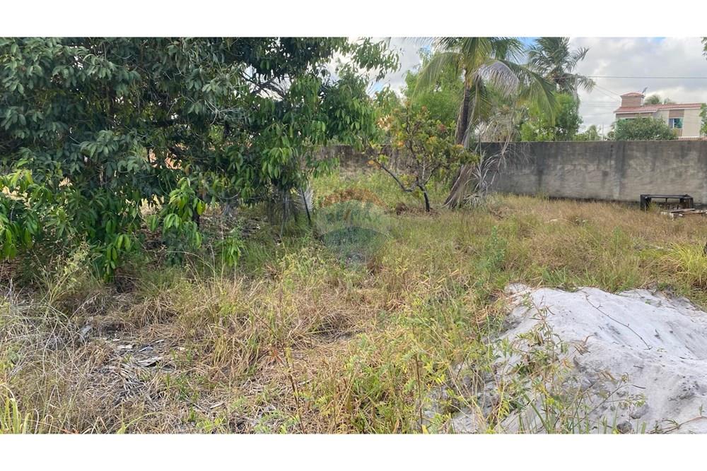 Terreno - Venda - Maragogi , Alagoas - IMG_3088.jpeg - 850271264-16