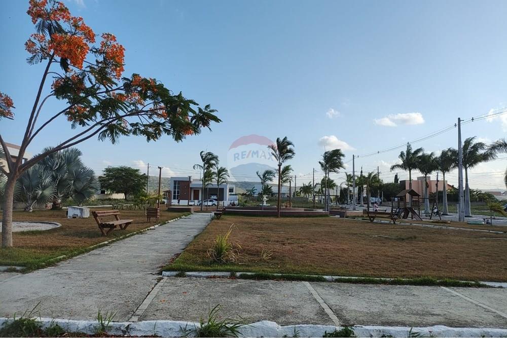 Terreno - Venda - Sairé , Pernambuco - c3c4541e-52a9-4cd0-8780-4435211f0280.jpg - 850501080-139