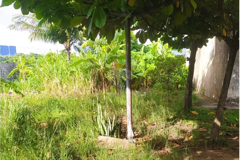 Galpão - Venda - Recife , Pernambuco - WhatsApp Image 2026-03-04 at 11.15.09.jpeg - 850091092-32