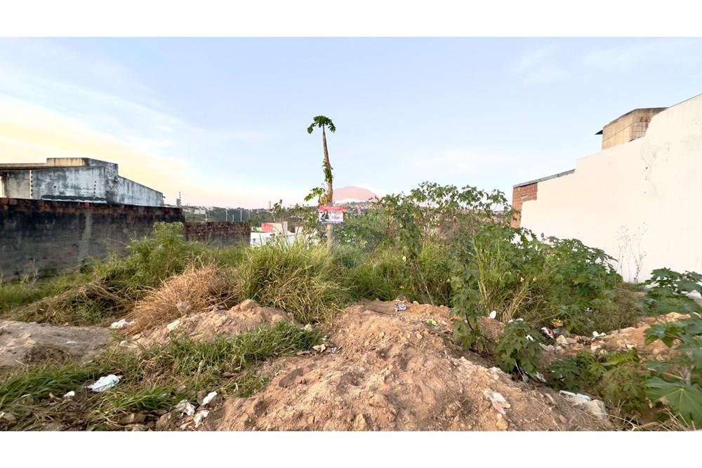 Terreno - Venda - Garanhuns , Pernambuco - IMG_2405.jpeg - 850741004-297