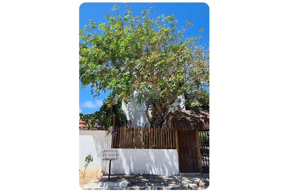 Casa - Venda - Tibau do Sul , Rio Grande do Norte - IMG-20260117-WA0063.jpg - 850091084-14