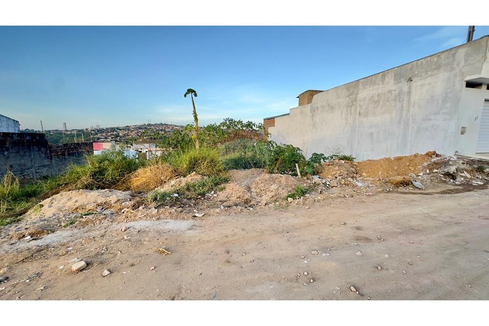 Terreno - Venda - Garanhuns , Pernambuco - IMG_2394.jpeg - 850741004-297