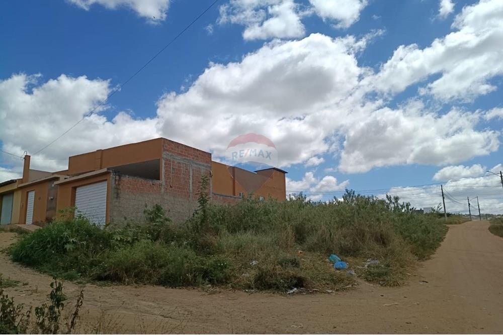 Terreno - Venda - Garanhuns , Pernambuco - WhatsApp Image 2025-11-14 at 12.55.38 (2).jpeg - 850741002-1