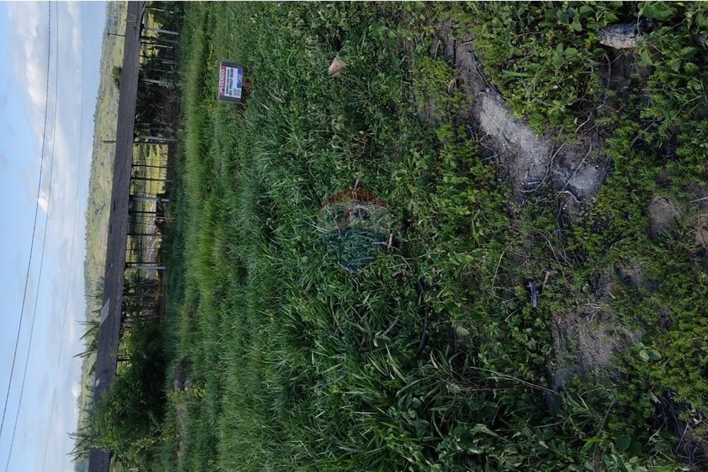 Terreno - Venda - Bonito , Pernambuco - WhatsApp Image 2025-03-10 at 08.43.29 (2).jpeg - 850051012-96