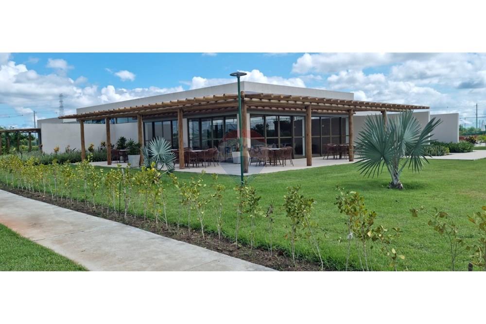 Terreno - Venda - Camaragibe , Pernambuco - WhatsApp Image 2026-02-27 at 10.35.19.jpeg - 850251132-1