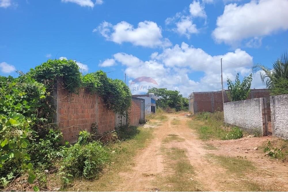 Terreno - Venda - Cabo de Santo Agostinho , Pernambuco - WhatsApp Image 2025-02-18 at 14.44.13.jpeg - 850281001-32