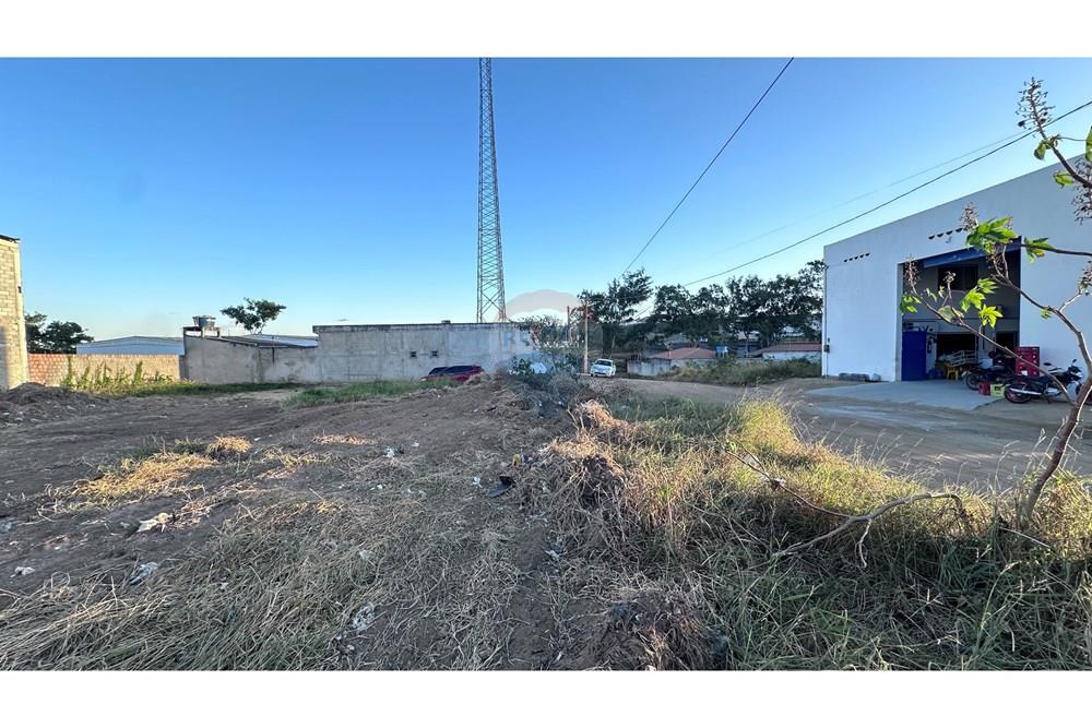 Terreno - Venda - Garanhuns , Pernambuco - IMG_2865.JPG - 850741006-7
