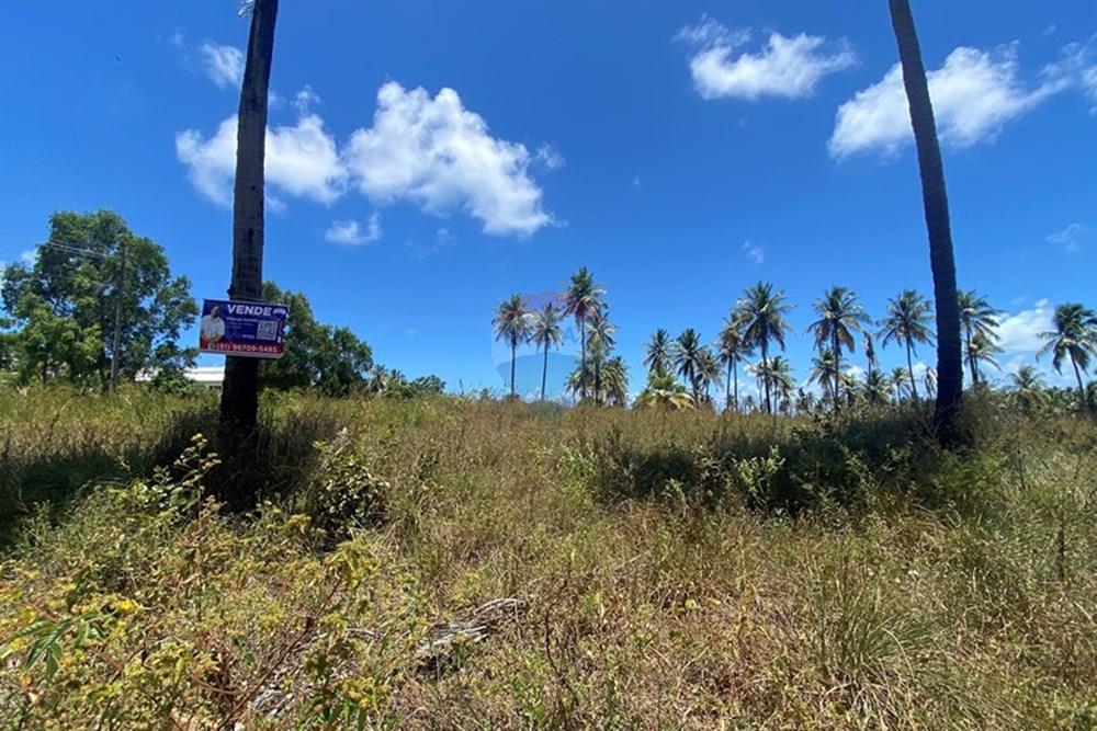 Terreno - Venda - Maragogi , Alagoas - IMG_1534.jpg - 850271264-8