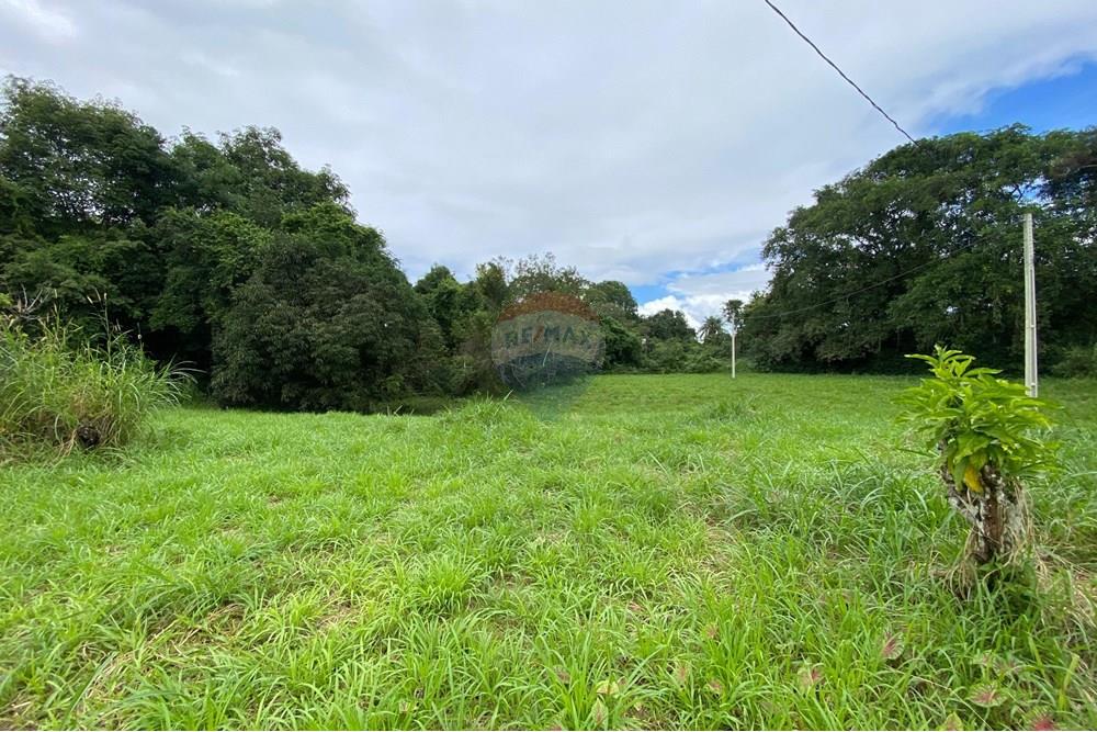 Chácara / Sítio / Fazenda - Venda - Camaragibe , Pernambuco - 7e9e52cf-7920-40ed-b7a7-7dc45adac520.jpg - 850191067-47