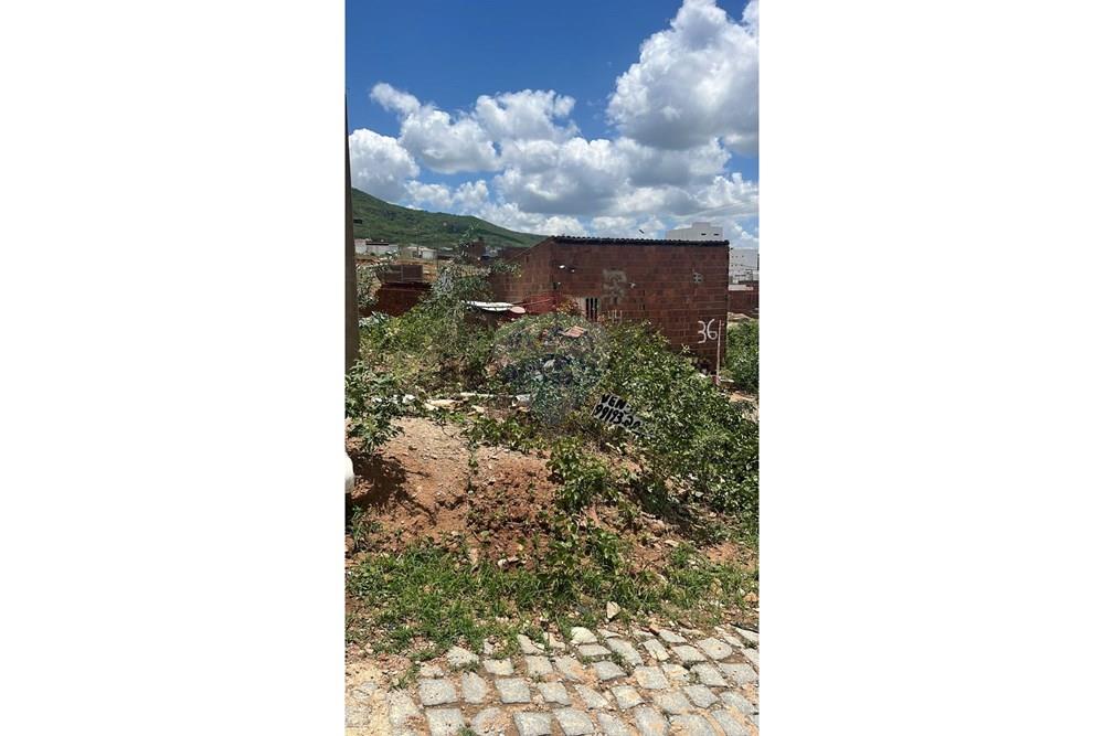 Terreno - Venda - Toritama , Pernambuco - WhatsApp Image 2026-03-20 at 14.53.26.jpeg - 850781010-8