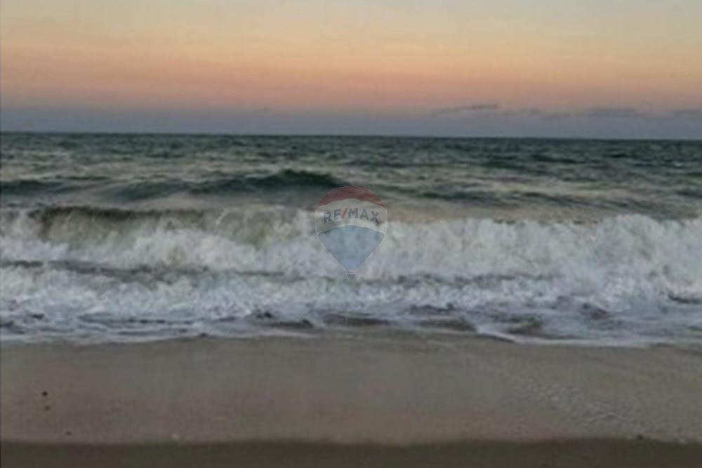 Casa de Condomínio - Venda - Tamandaré , Pernambuco - WhatsApp Image 2025-12-18 at 13.21.38.jpeg - 850071019-229